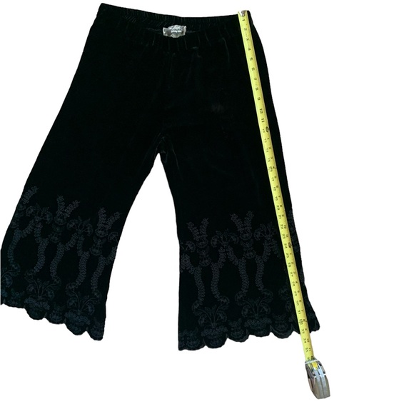 Johnny Was LOVE Uche Cropped Floral Embroidered Wide Leg Velvet Pants LARGE - Picture 4 of 14